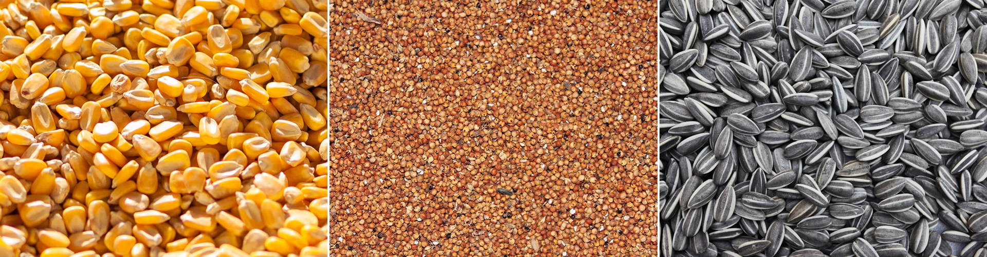 Olympec Foods Olympec Foods